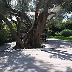 Enelani